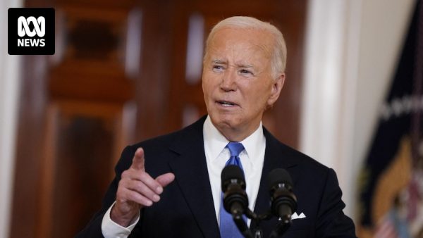 If President Joe Biden drops out of the race, what happens next?