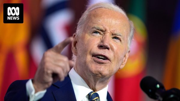 ‘He’ll keep digging his heels in until he doesn’t’: Pressure mounts on Biden to step aside