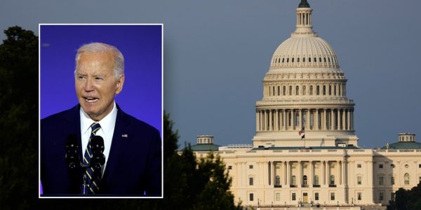 Congressional bypass: Many Democrats elusive on Biden issue