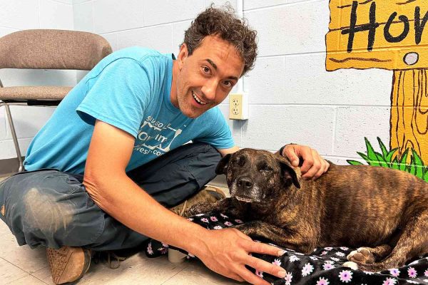 avers Save Stranded Dog They Happened Upon 40 Feet Underground in ‘Miracle’ Rescue