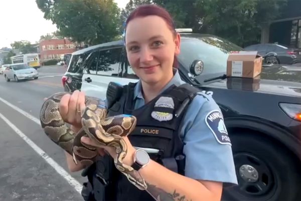 Minneapolis Rideshare Driver Discovers Snake Left Behind in Car