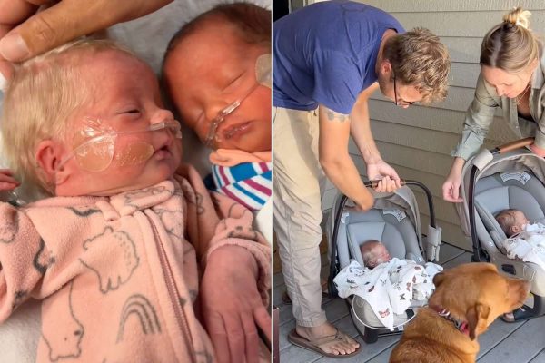 Bachelor Alum Sarah Herron’s Twins Finally Come Home After 4 Weeks in the NICU: ‘Let the Games Begin’