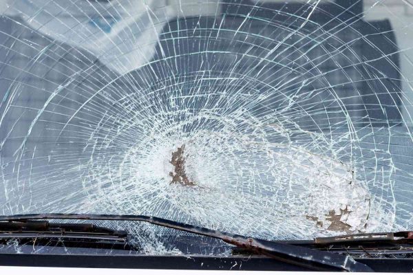 Fish Randomly Falls from the Sky, Shattering a Couple’s Car Windshield: ‘We Were Like Holy Crap’