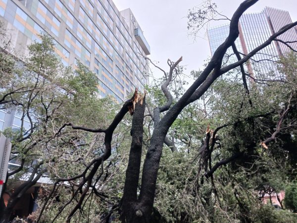 Houston’s hottest question: When will my power be back on after Hurricane Beryl?