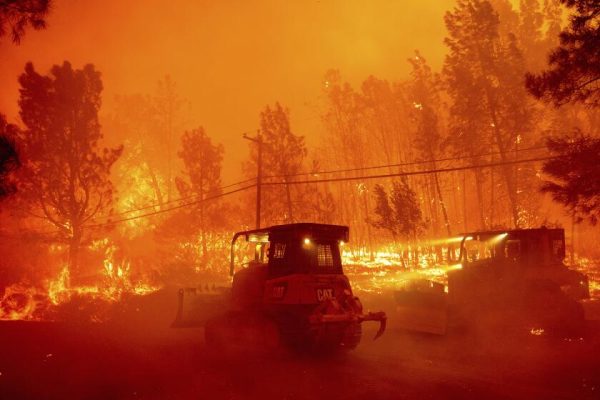 How the Park fire near Chico exploded into California’s largest of the year