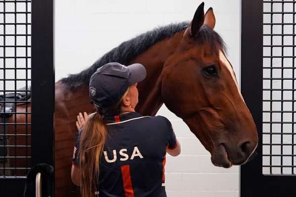 Yes, Horses Competing in the Olympics Need a Passport to Travel