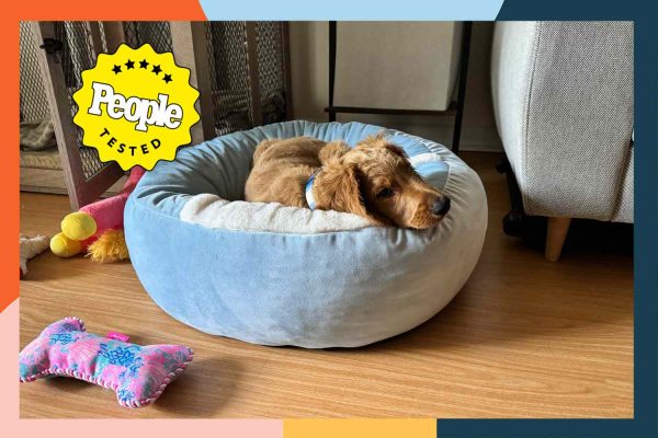 Experts Weigh in on the Best Calming Dog Beds for Anxious Pups