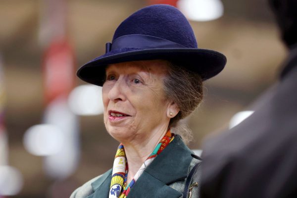 Princess Anne Says She ‘Can’t Remember a Single Thing’ About Horse Incident