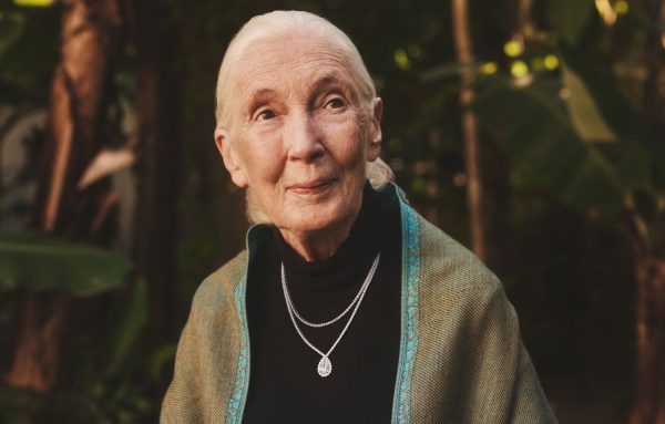 Jane Goodall’s Brilliant Earth Line Honors ‘My Beloved Tanzania:’ Inside the Iconic Conservationist’s Collab