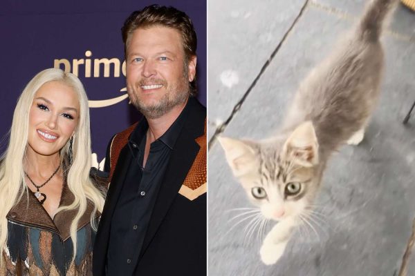 Gwen Stefani and Blake Shelton Introduce Kitten They Nursed Back to Health After Finding Him ‘Hardly Alive’