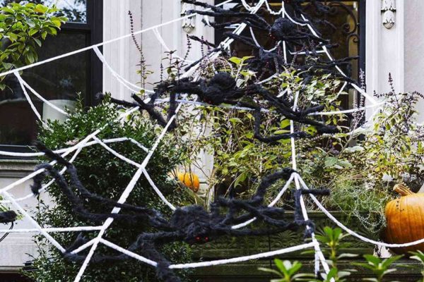 Step Aside Giant Skeleton — We Found a 5-Foot Spider and Web Decoration for Your Front Yard, and It’s Just $18