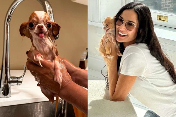 Demi Moore Shares Photos of Her and Her Tiny Dog Pilaf Being ‘a Couple of Weirdos’