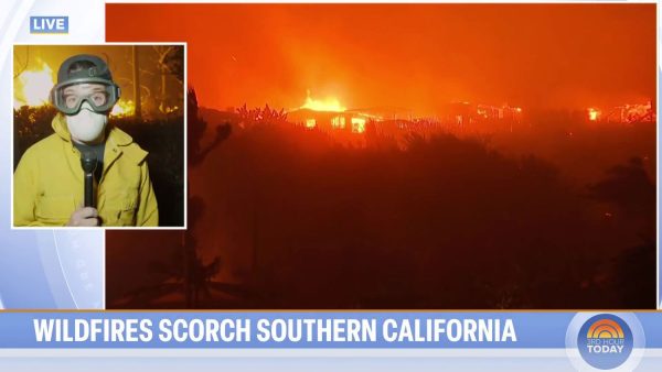 TV Reporter Describes ‘Cataclysmic’ Scene as Wildfires Torch L.A., Including His Childhood Home (Exclusive)