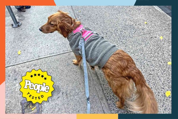 The Best Dog Jackets Our Pups Tested Are on Sale from $12